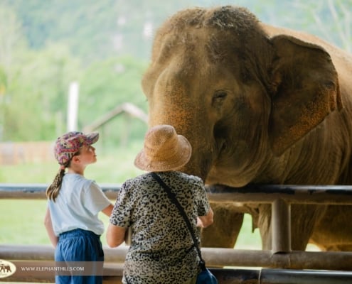 Family-friendly Adventure