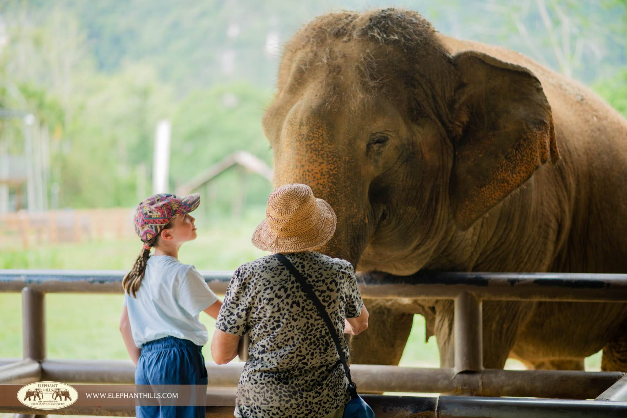 Family-friendly Adventure Family-friendly Adventure