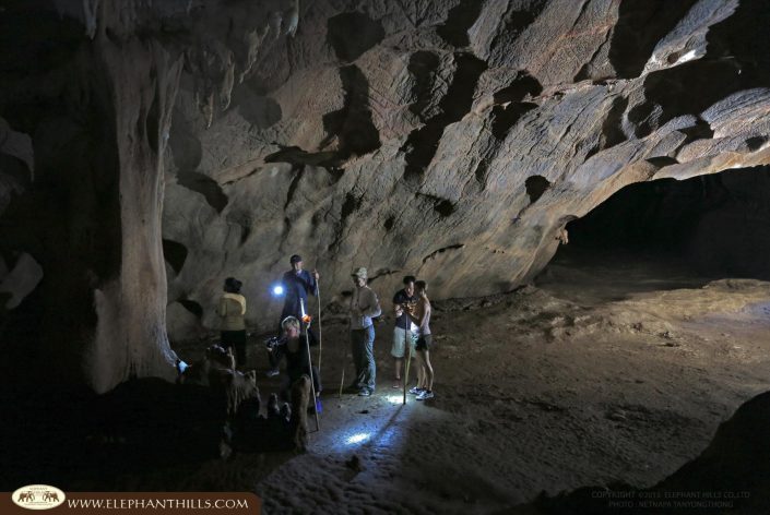 Cave look animals Rainforest Jungle KhaoSokNationalPark ElephantHills