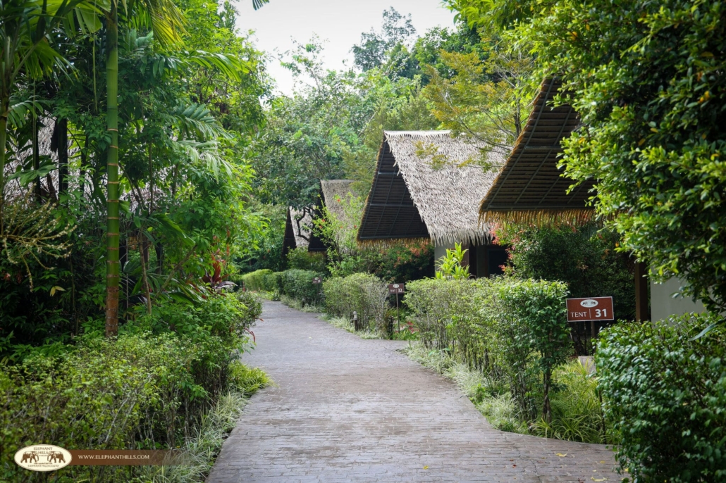 Romantic Escapes: Why Khao Sok is the Perfect Couple’s Getaway 4 Cosy Accommodations