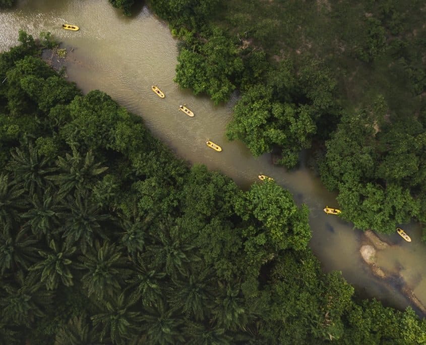 Thrills in the Wilderness: Discover Adventure Activities in Khao Sok 9 DJI 0770