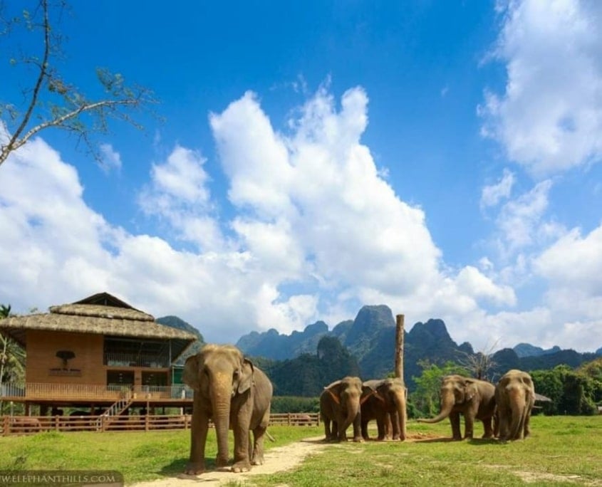 All-Inclusive Holidays: Nature Adventure Awaits 7 Discover the Magic of Elephant Hills