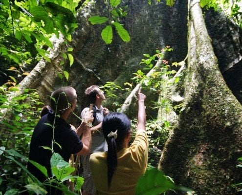 Activities 18 JungleTrek MainCamp 1