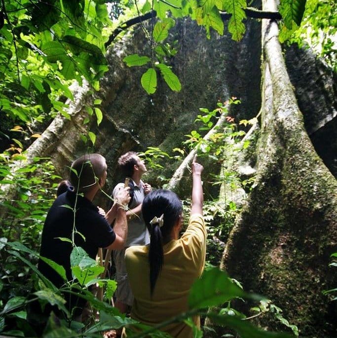 Activities 19 JungleTrek MainCamp 1