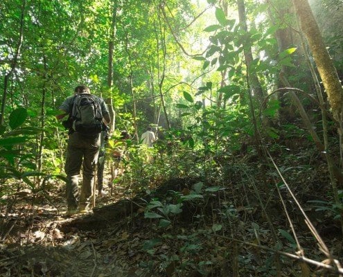 Activities 16 JungleTrek MainCamp 2 1