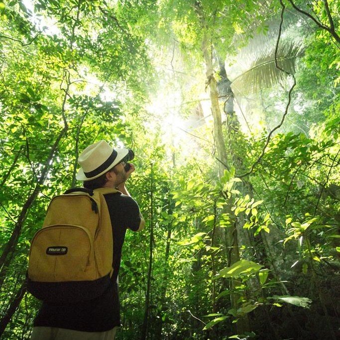 Activities 13 Facts about Khao Sok’s flora, over 200 species of plant in one hectare.