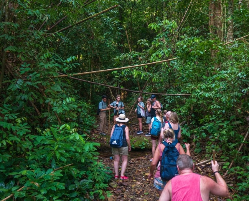 Thrills in the Wilderness: Discover Adventure Activities in Khao Sok 3 P1070200