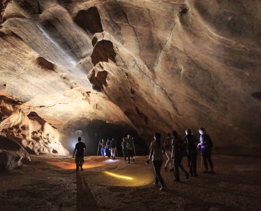 Thrills in the Wilderness: Discover Adventure Activities in Khao Sok 7 t Elephant Hills Luxury Tented Camp Khao Sok National Park Thailand Activities Jungle Trekking 7