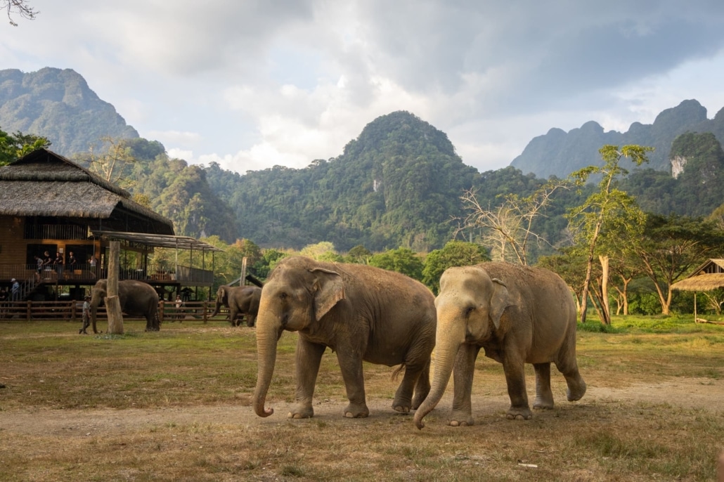 Raindrops and Rainforests: A Rainy Season Guide to Khao Sok Adventure 5 TEC 11 15 FEB 040