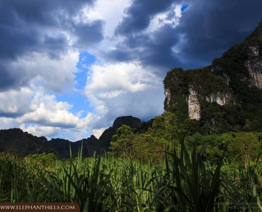 Activities 5 TOR 005