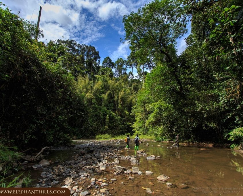 Activities 7 TOR 029