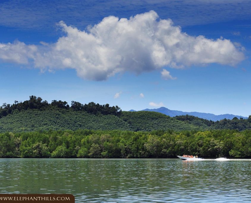 Activities 25 TOR 151